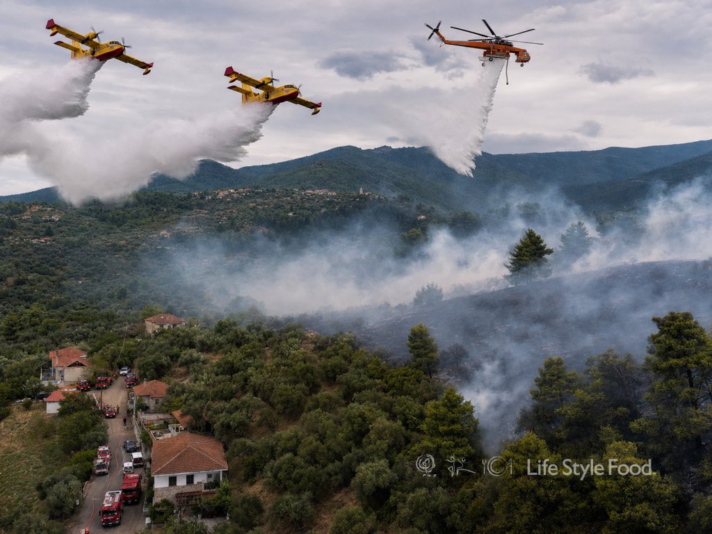 πυρκαγιά λούτσα εύβοια, αεροπλάνα και ελικόπτερο πάνω από μέτωπο